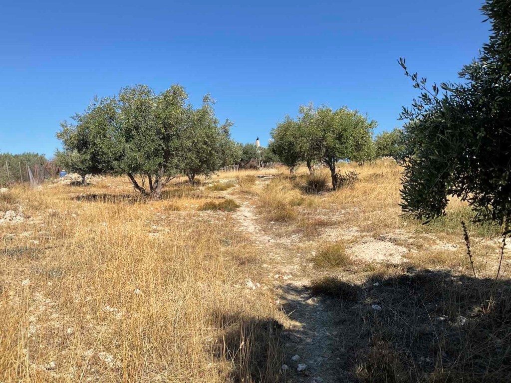 Land in Archanes, Heraklion Prefecture, Greece – 51207
