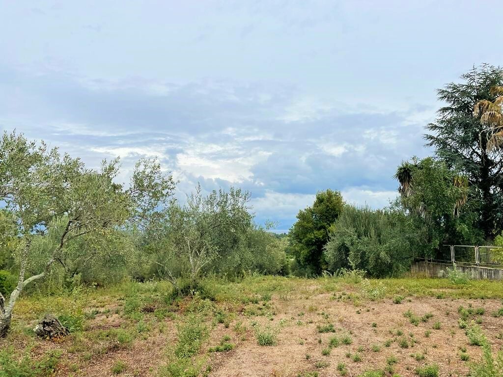 Land in Corfu, Corfu Prefecture, Greece – 51203