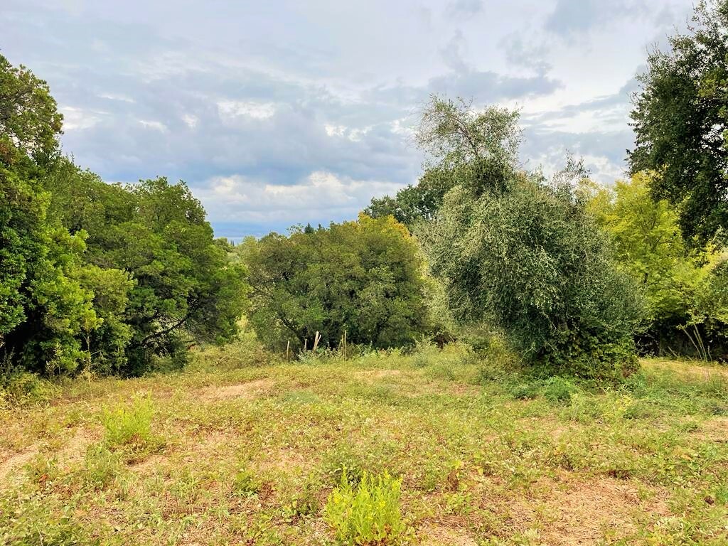Land in Corfu, Corfu Prefecture, Greece – 51203