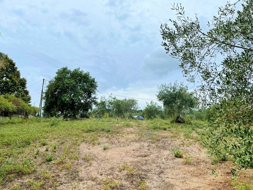 Land in Corfu, Corfu Prefecture, Greece – 51203