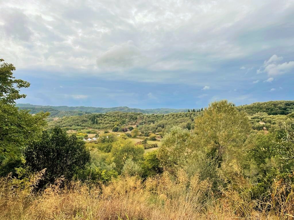 Land in Corfu, Corfu Prefecture, Greece – 51201