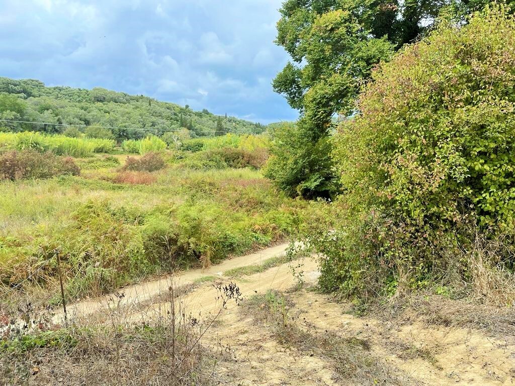 Land in Corfu, Corfu Prefecture, Greece – 51201