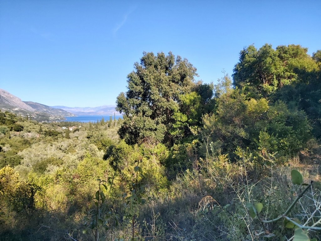 Land in Corfu, Corfu Prefecture, Greece – 51164