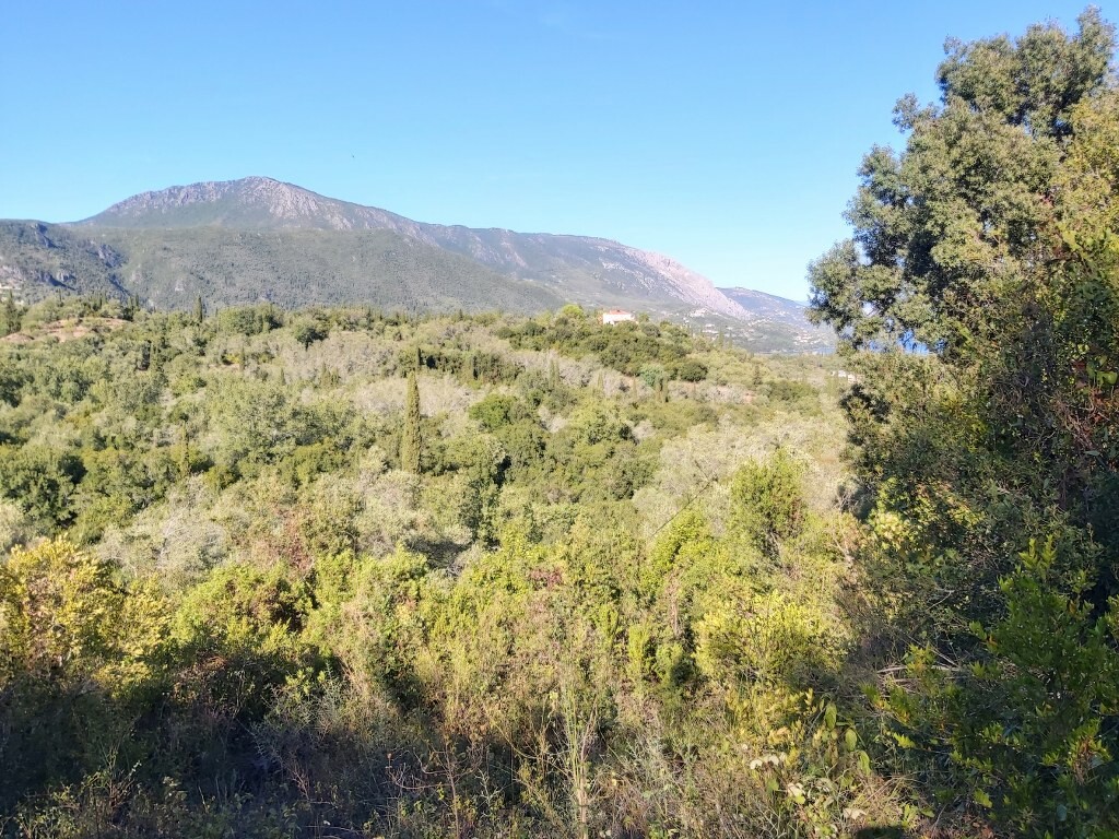Land in Corfu, Corfu Prefecture, Greece – 51164