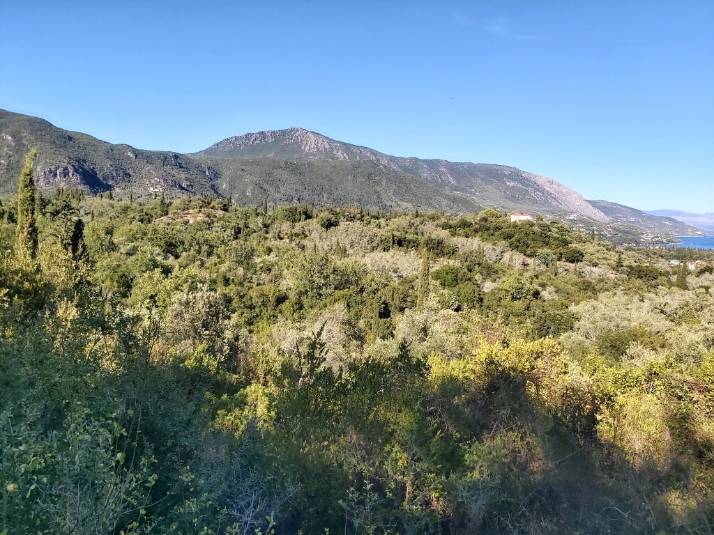 Land in Corfu, Corfu Prefecture, Greece – 51164