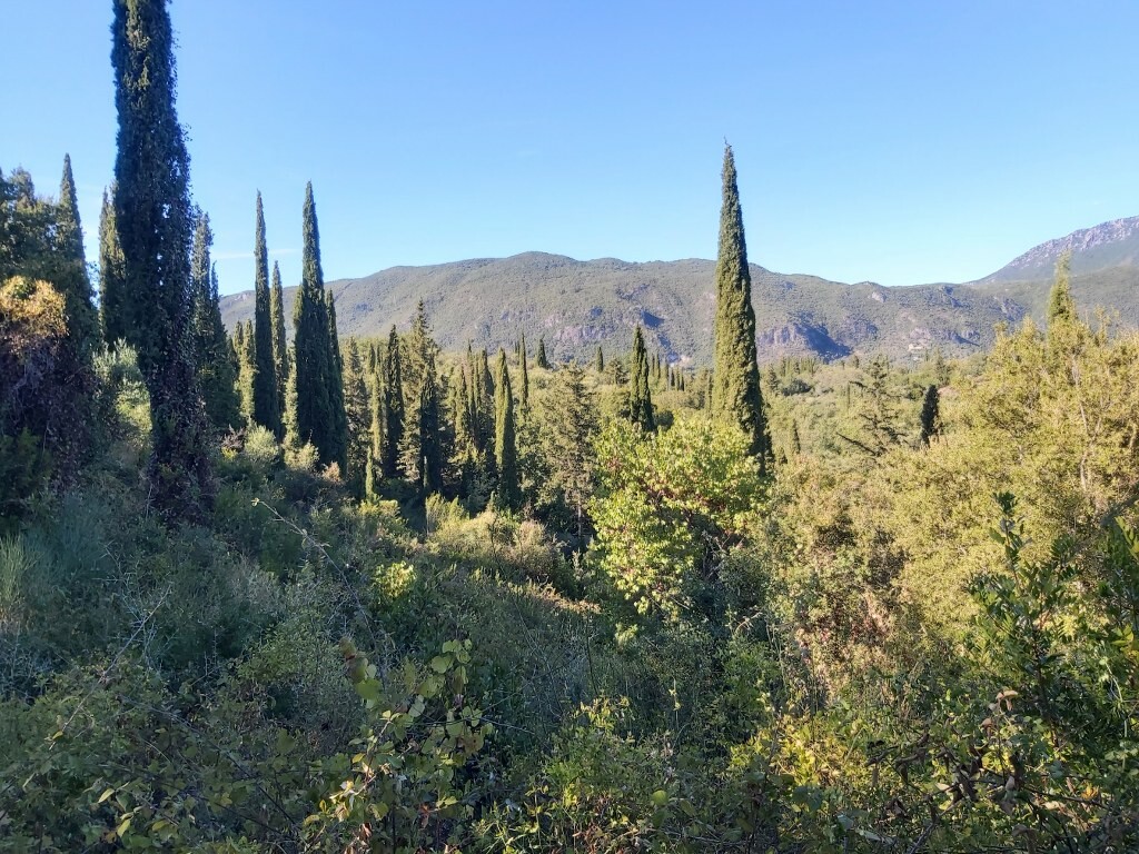 Land in Corfu, Corfu Prefecture, Greece – 51164
