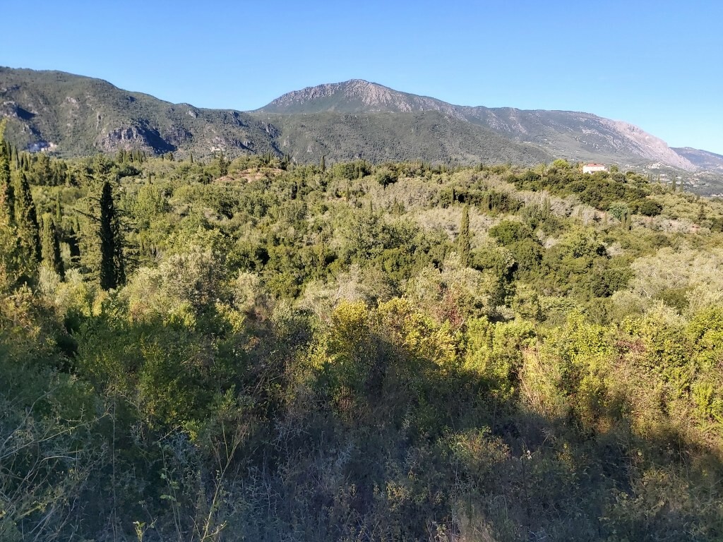 Land in Corfu, Corfu Prefecture, Greece – 51164
