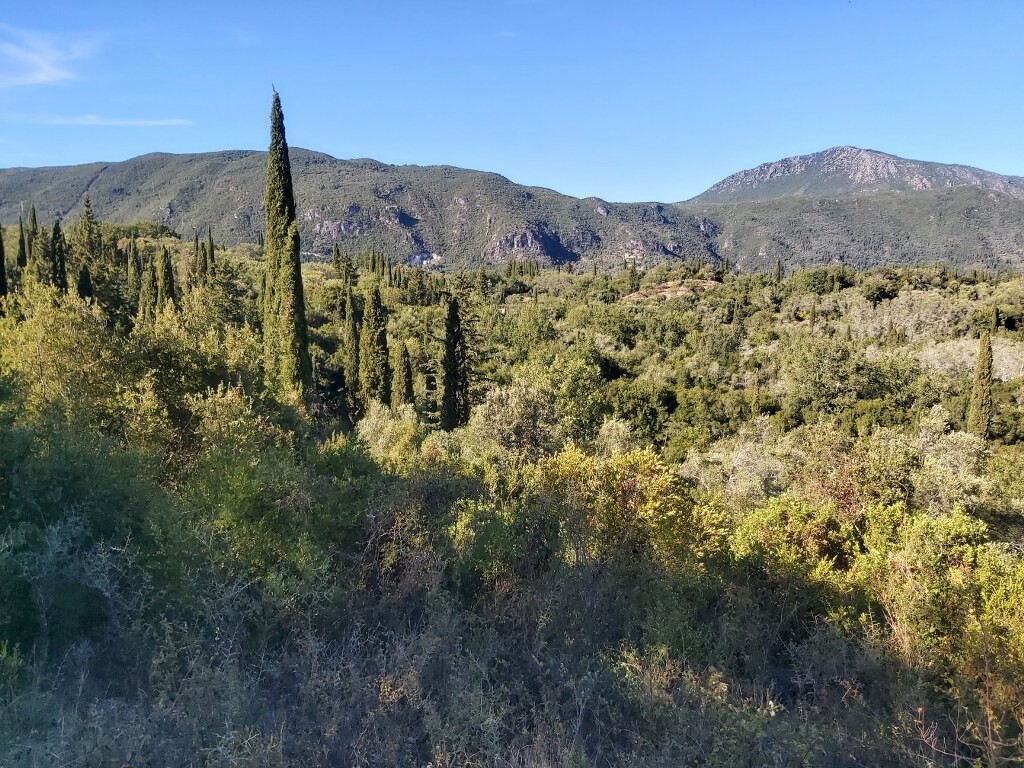 Land in Corfu, Corfu Prefecture, Greece – 51164