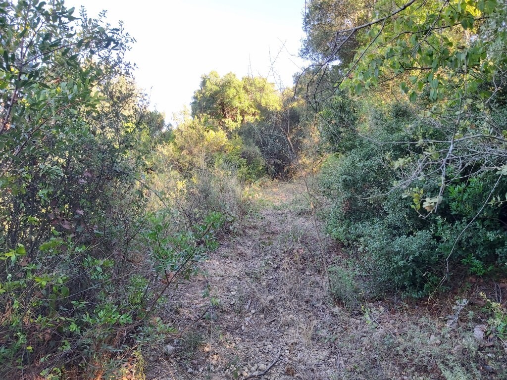 Land in Corfu, Corfu Prefecture, Greece – 51164
