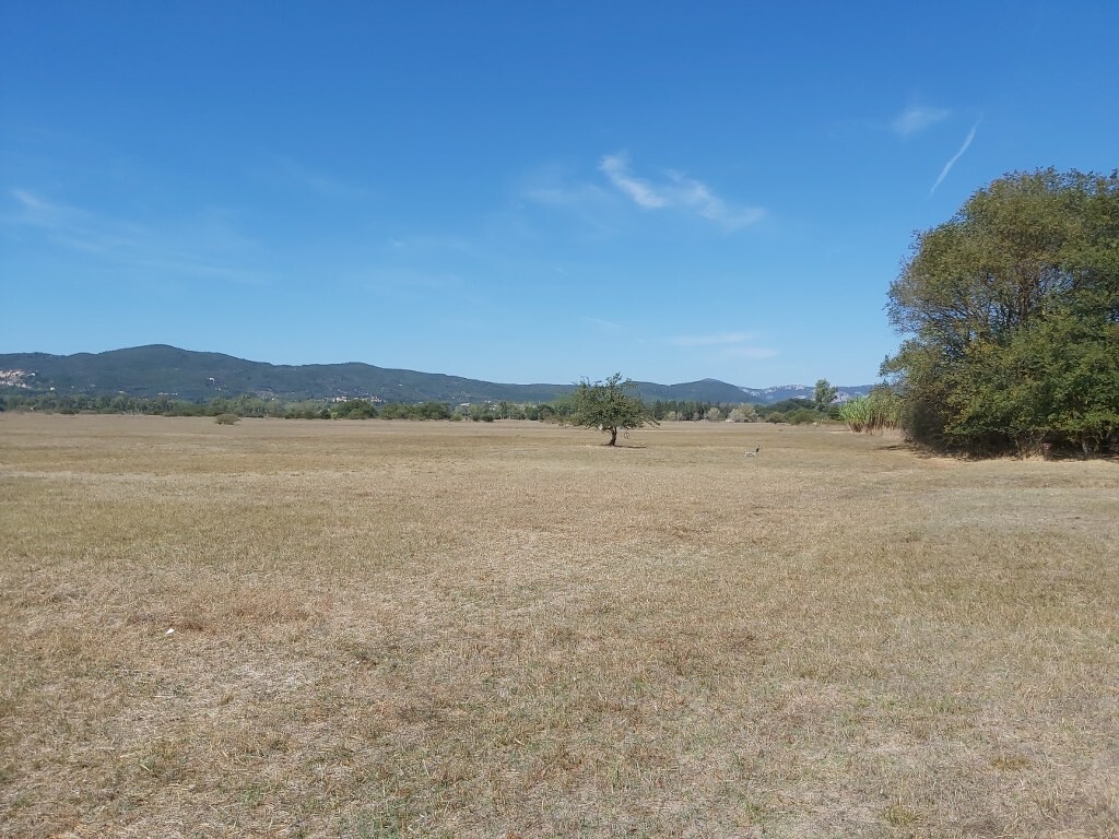 Land in Corfu, Corfu Prefecture, Greece – 51125