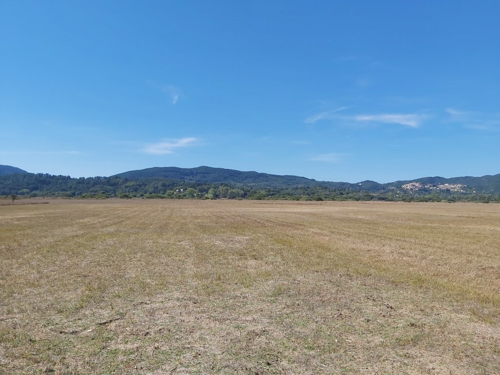 Land in Corfu, Corfu Prefecture, Greece – 51125