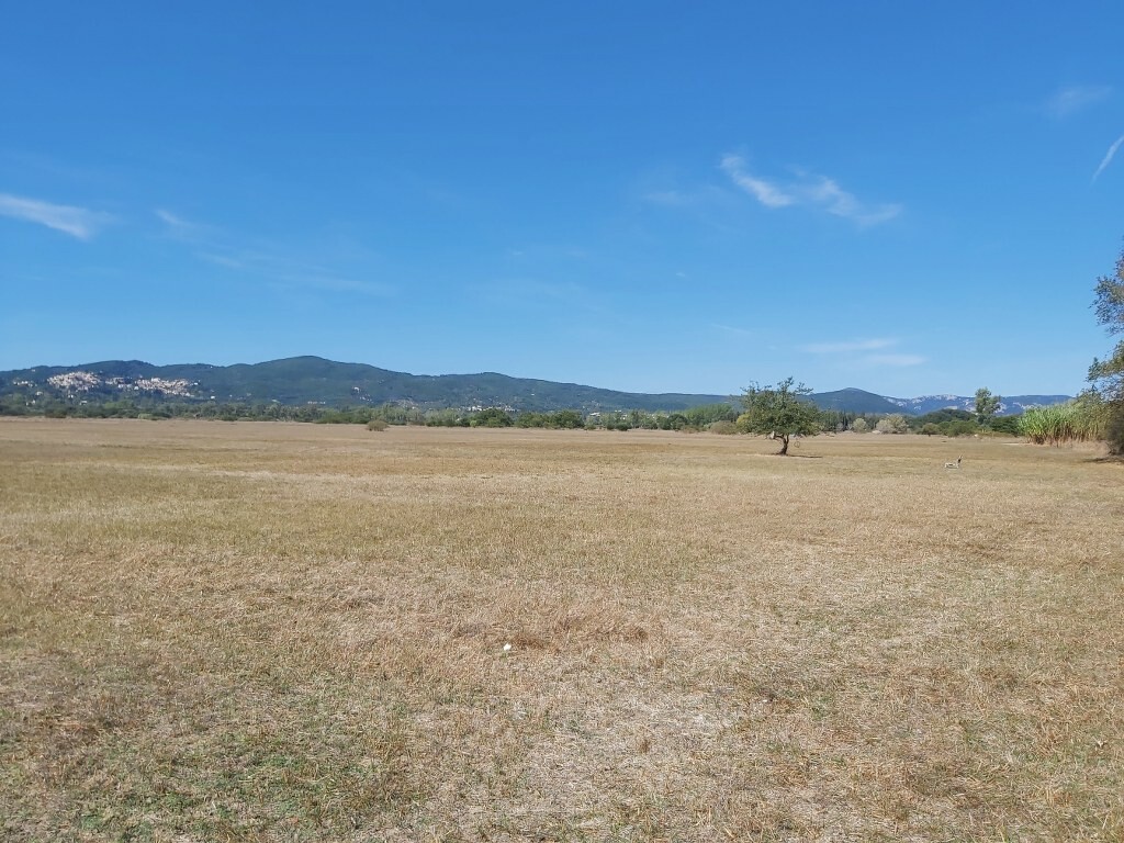 Land in Corfu, Corfu Prefecture, Greece – 51125