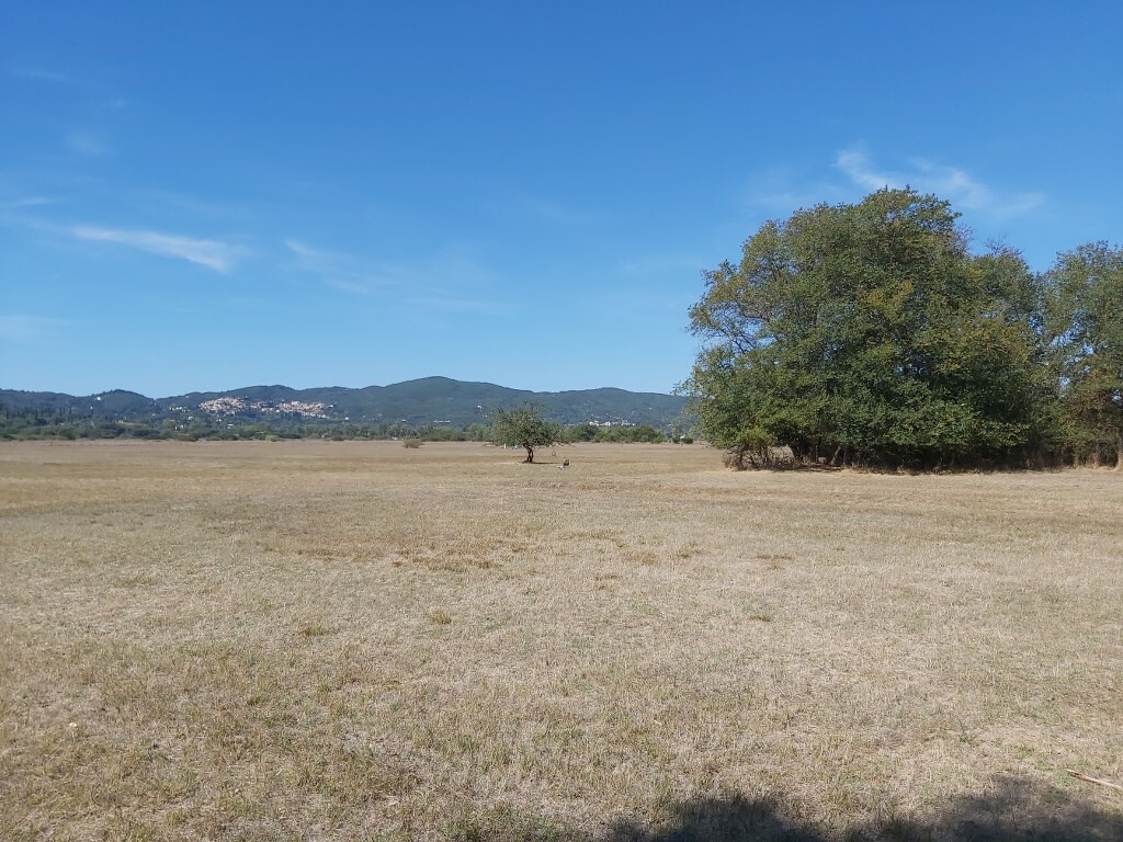 Land in Corfu, Corfu Prefecture, Greece – 51125