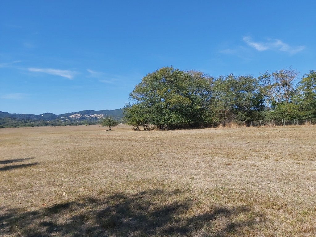 Land in Corfu, Corfu Prefecture, Greece – 51125