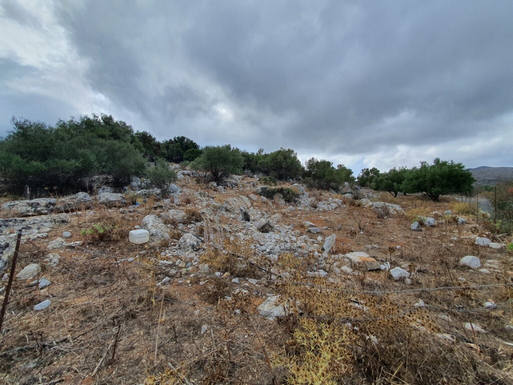 Land in Mallia, Heraklion Prefecture, Greece – 51119