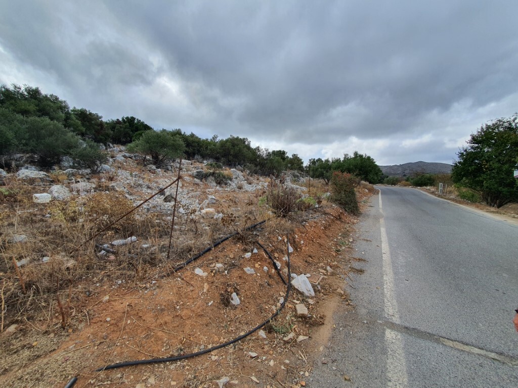 Land in Mallia, Heraklion Prefecture, Greece – 51119