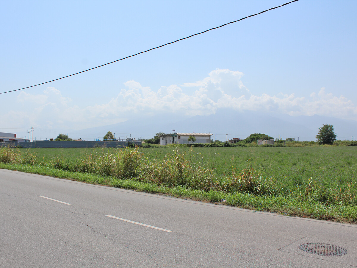 Land in Katerini, Pieria Prefecture, Greece – 51089