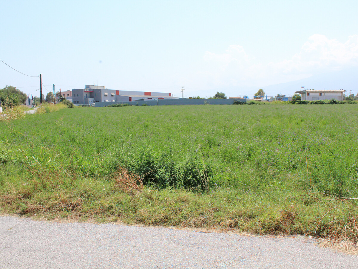 Land in Katerini, Pieria Prefecture, Greece – 51089