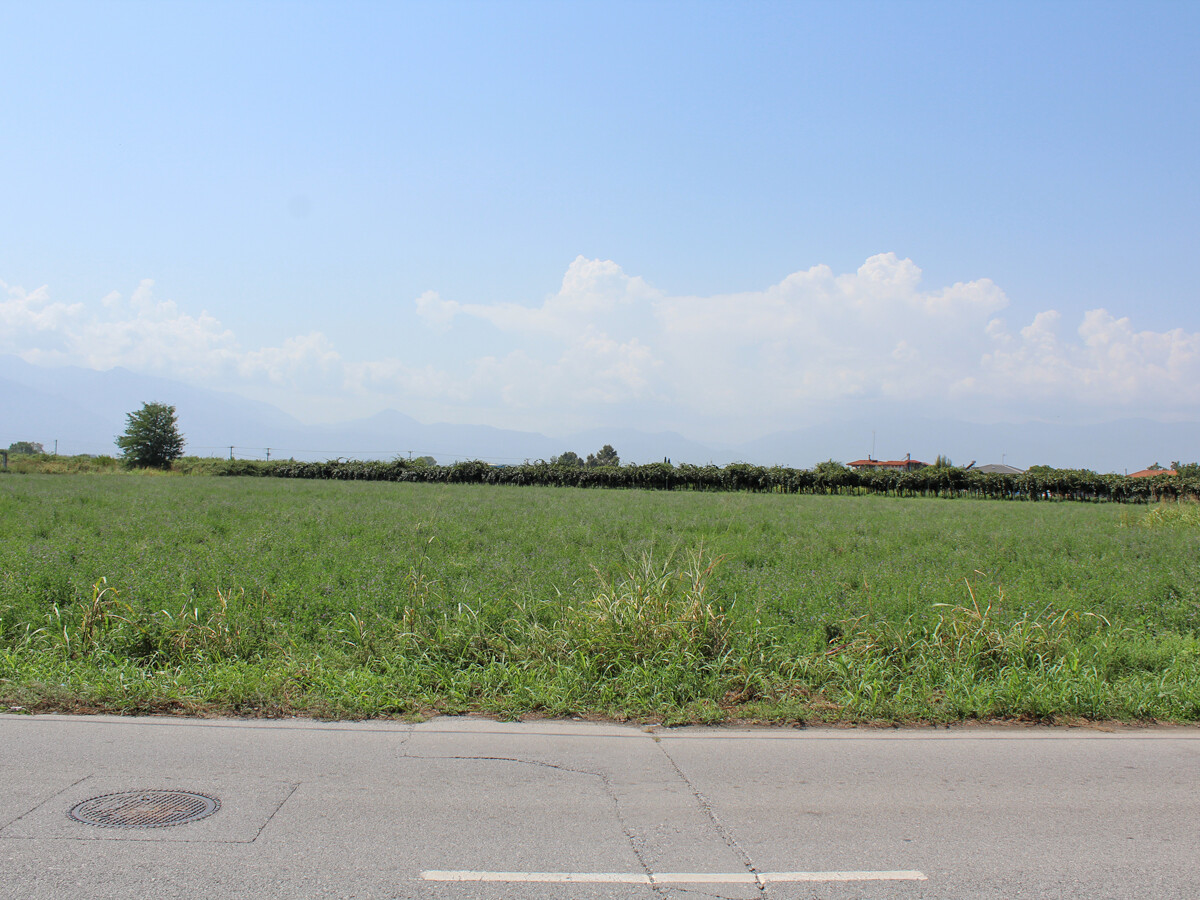 Land in Katerini, Pieria Prefecture, Greece – 51089