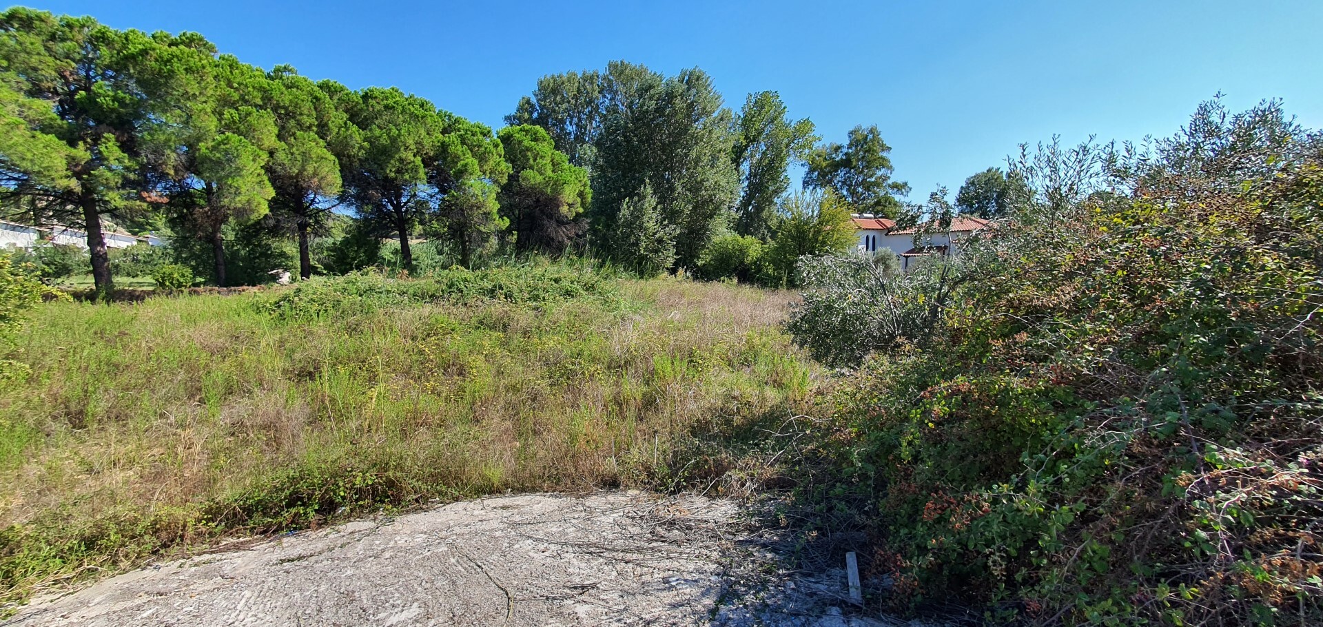 Land in Sithonia, Chalkidiki, Greece – 51086