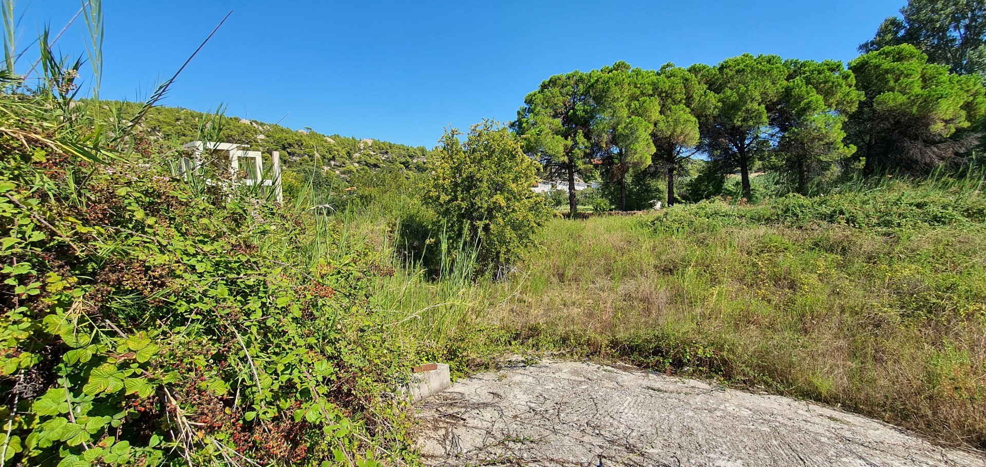 Land in Sithonia, Chalkidiki, Greece – 51086