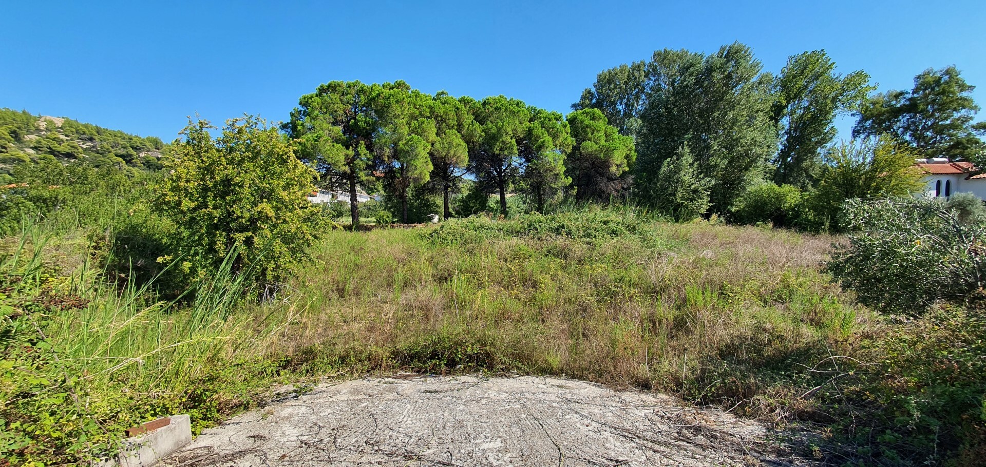 Land in Sithonia, Chalkidiki, Greece – 51086