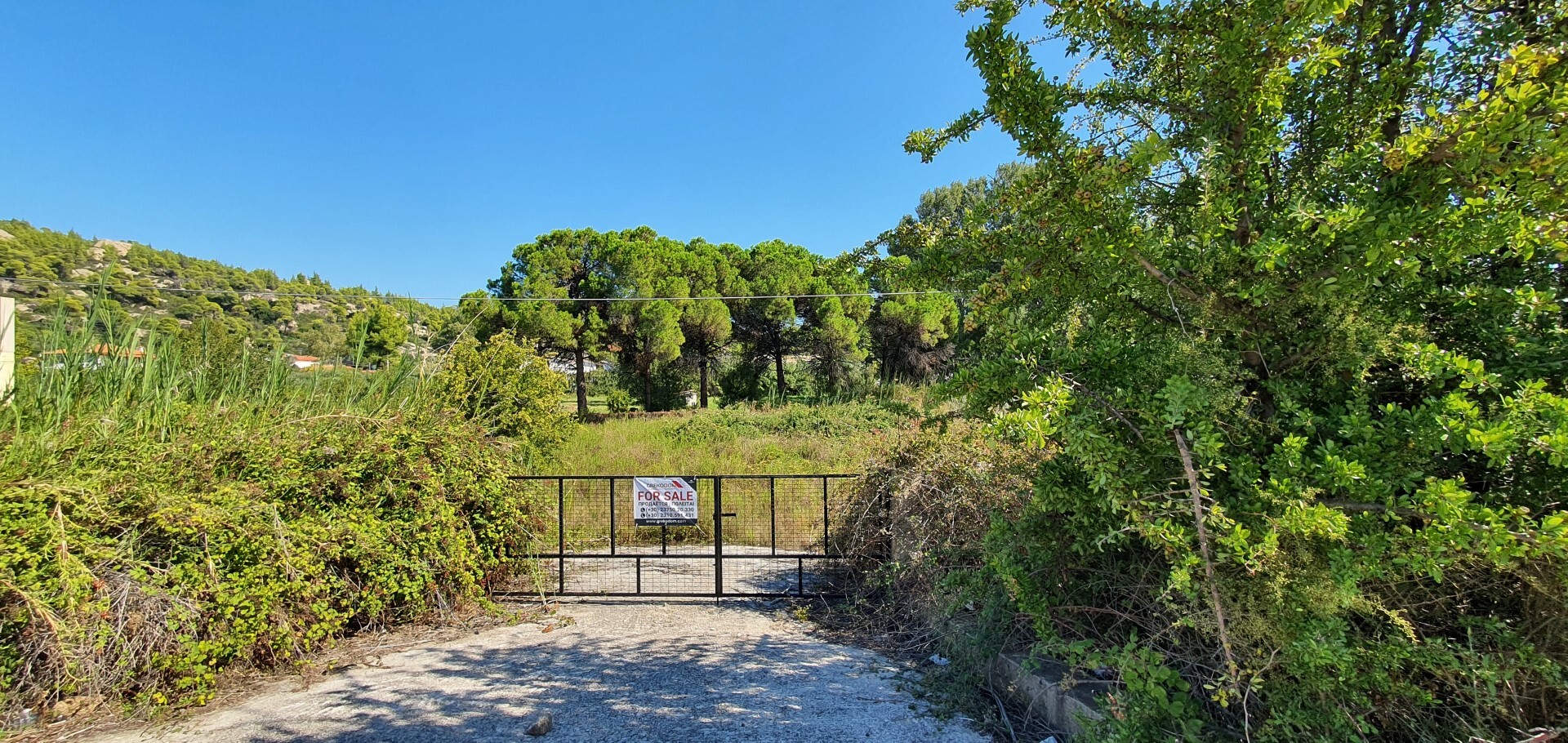 Land in Sithonia, Chalkidiki, Greece – 51086
