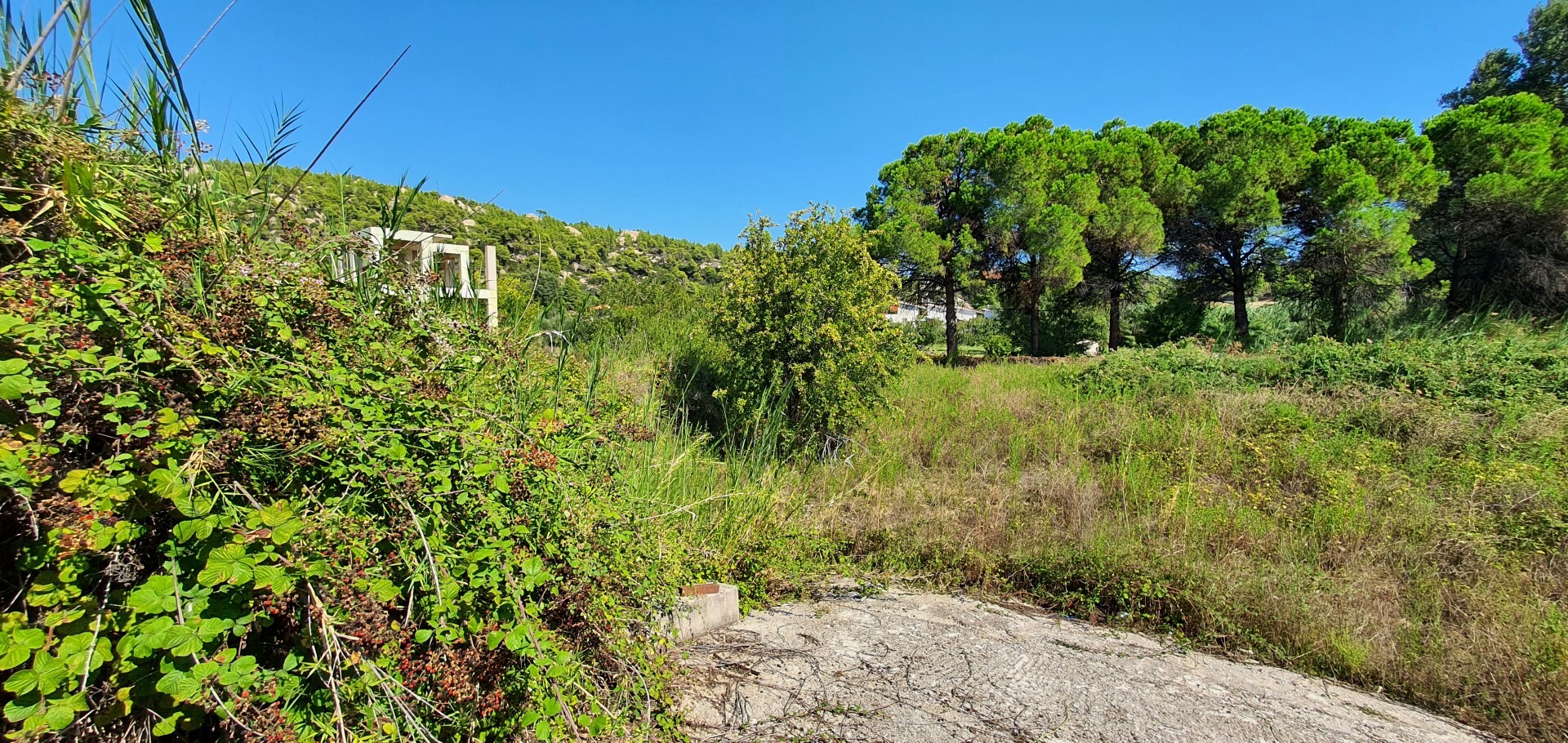 Land in Sithonia, Chalkidiki, Greece – 51086