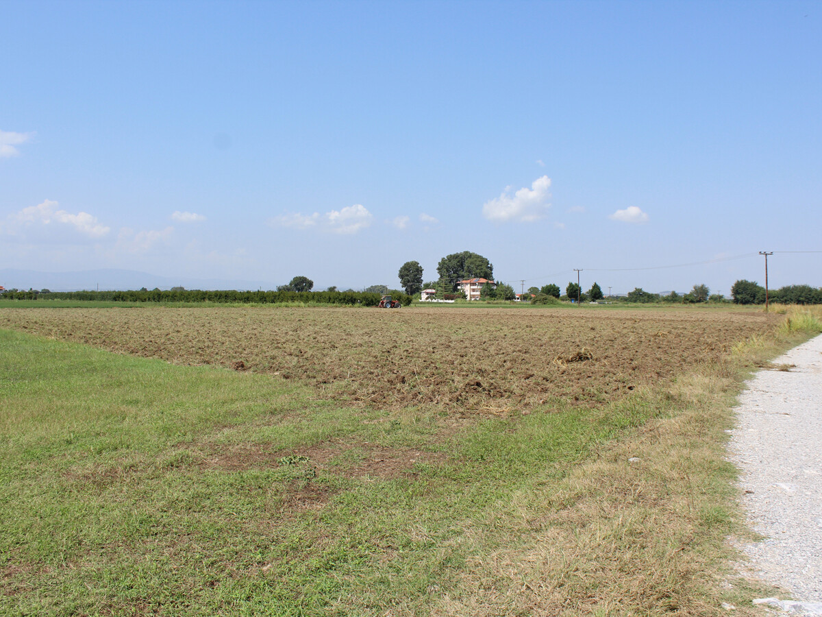 Land in Katerini, Pieria Prefecture, Greece – 51042