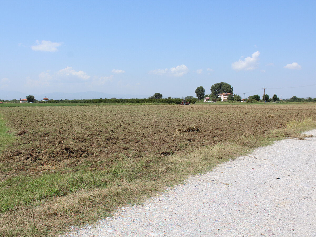 Land in Katerini, Pieria Prefecture, Greece – 51042