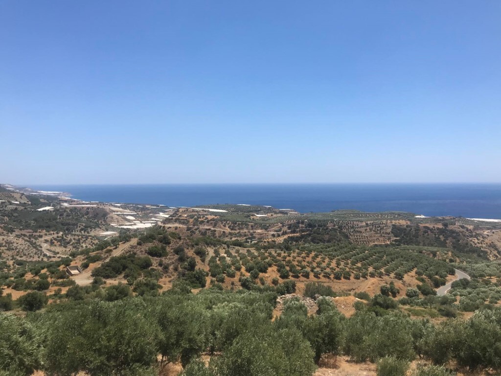 Land in Ierapetra, Lasithi Prefecture, Greece – 51038