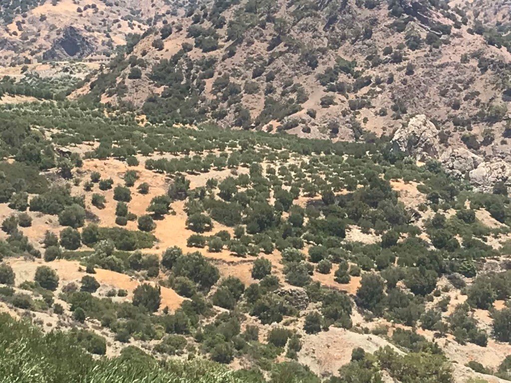 Land in Ierapetra, Lasithi Prefecture, Greece – 51038