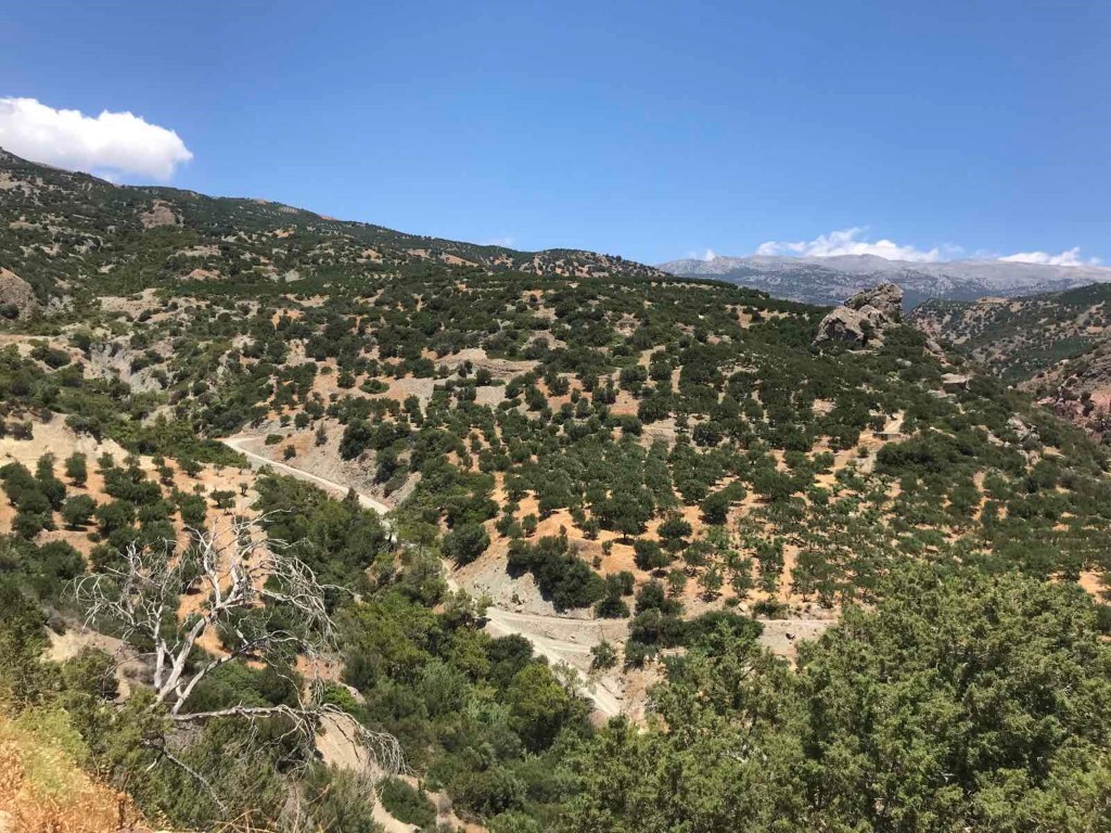 Land in Ierapetra, Lasithi Prefecture, Greece – 51038
