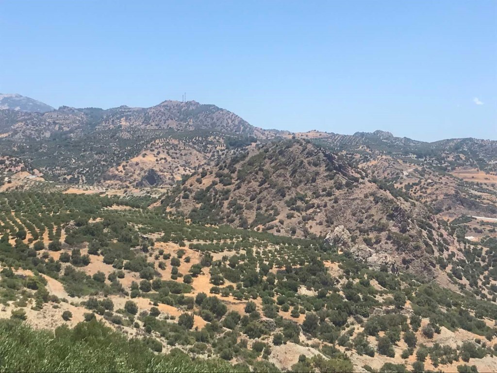 Land in Ierapetra, Lasithi Prefecture, Greece – 51038