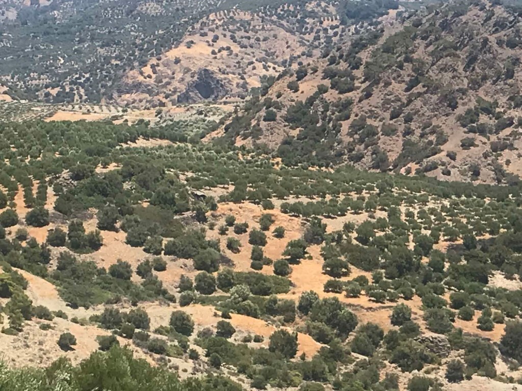 Land in Ierapetra, Lasithi Prefecture, Greece – 51038