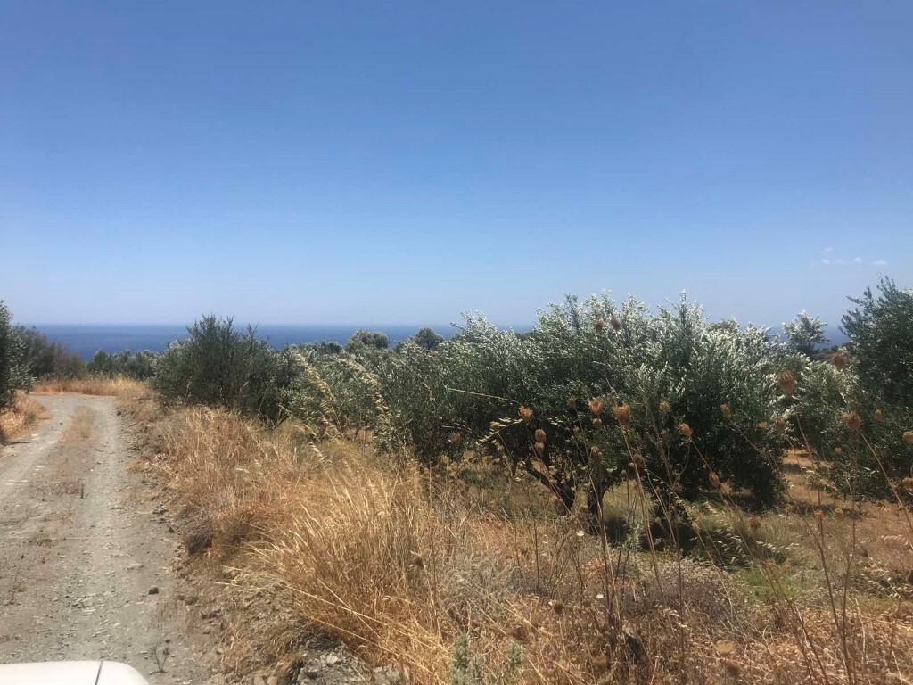 Land in Ierapetra, Lasithi Prefecture, Greece – 51038