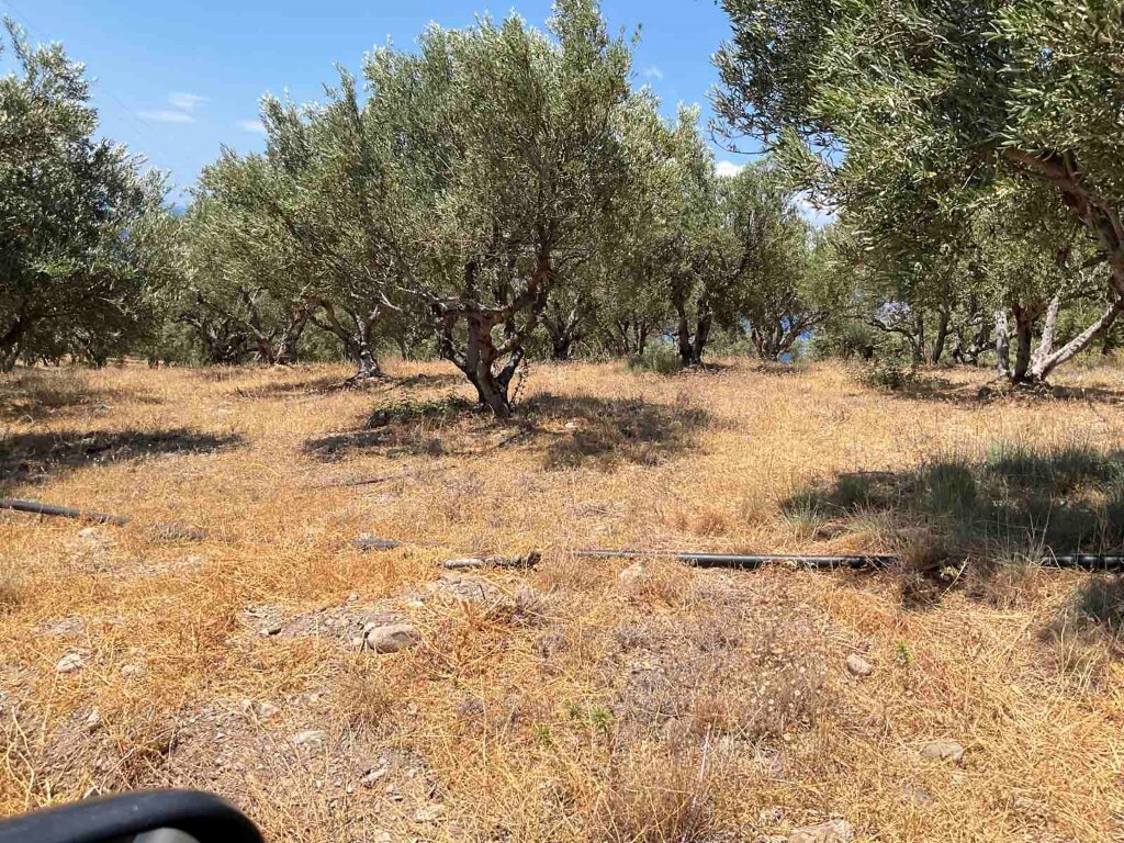 Land in Viannos, Heraklion Prefecture, Greece – 51006