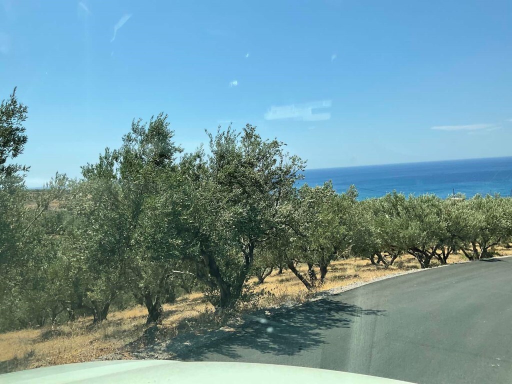 Land in Viannos, Heraklion Prefecture, Greece – 51006