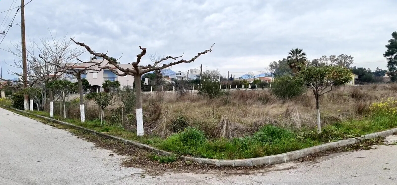 Land in Attica, Rest Of Attica, Greece – 50978