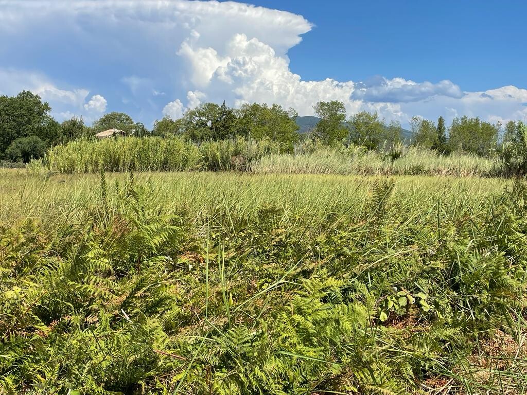 Land in Corfu, Corfu Prefecture, Greece – 50971