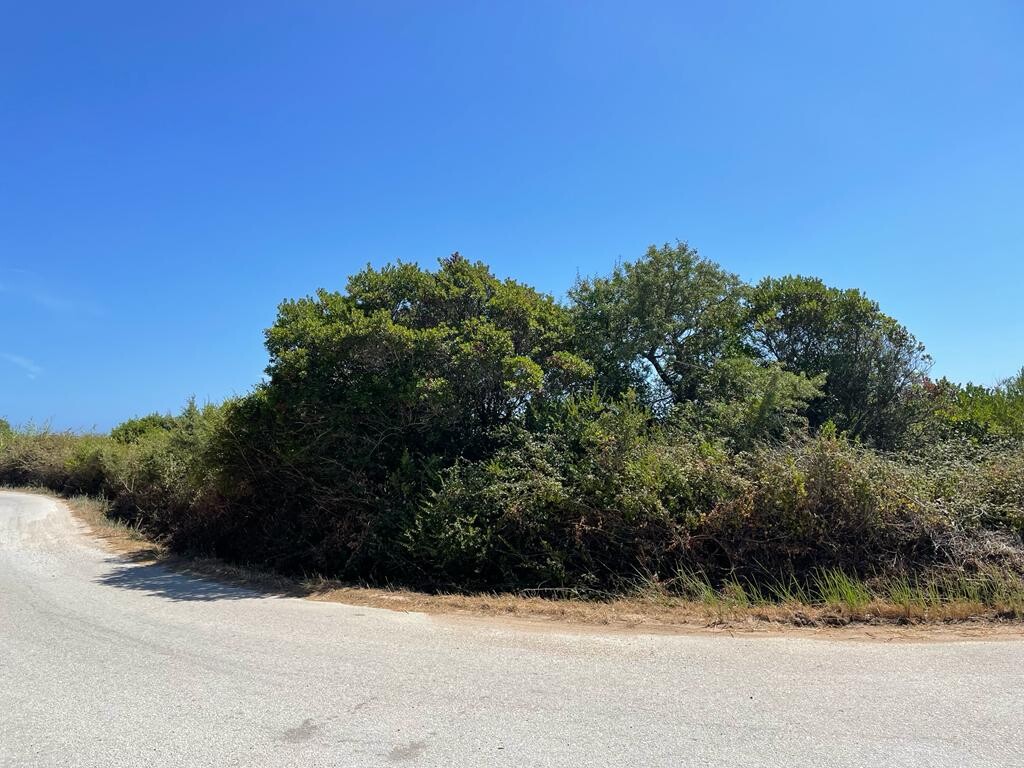 Land in Corfu, Corfu Prefecture, Greece – 50971