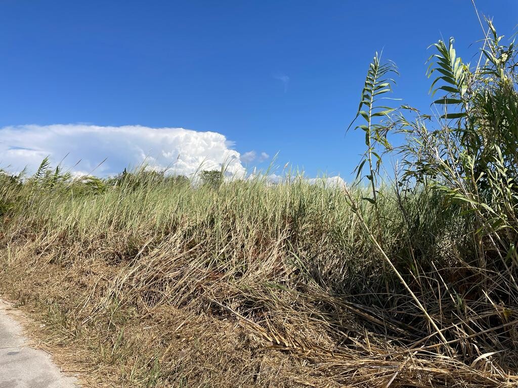 Land in Corfu, Corfu Prefecture, Greece – 50971
