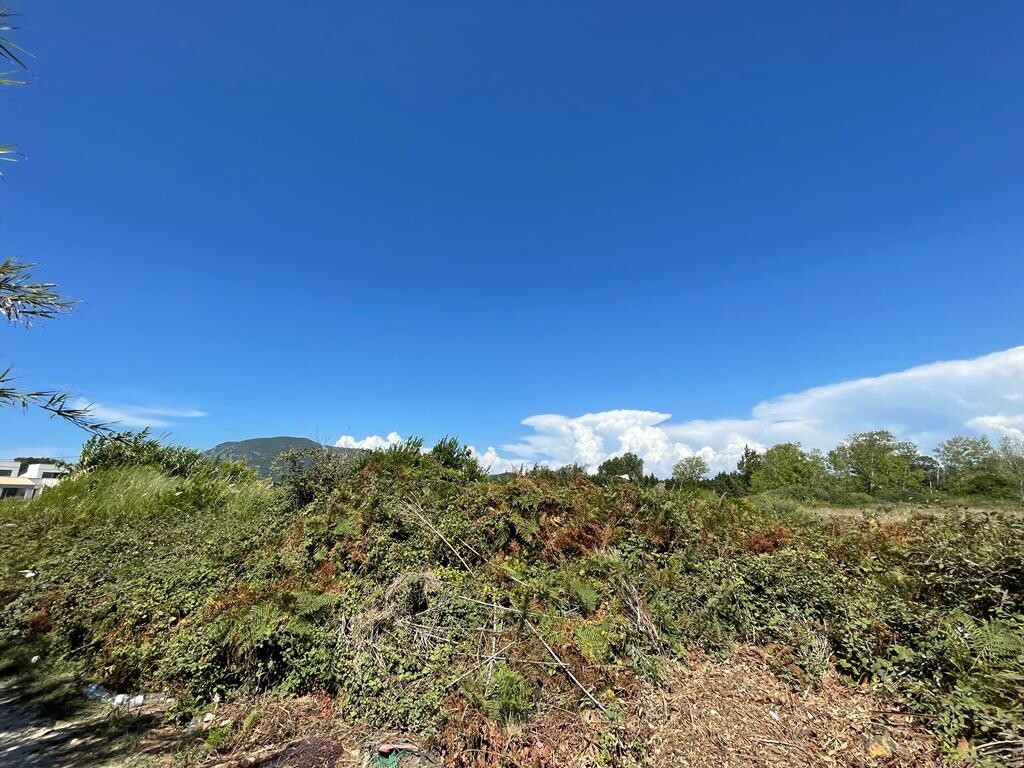 Land in Corfu, Corfu Prefecture, Greece – 50971