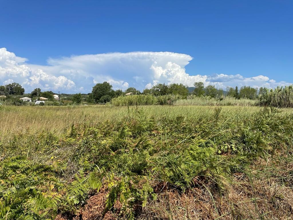 Land in Corfu, Corfu Prefecture, Greece – 50971