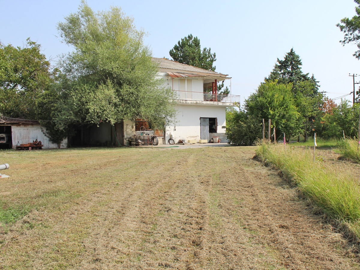 Detached house in Katerini, Pieria Prefecture, Greece – 50950