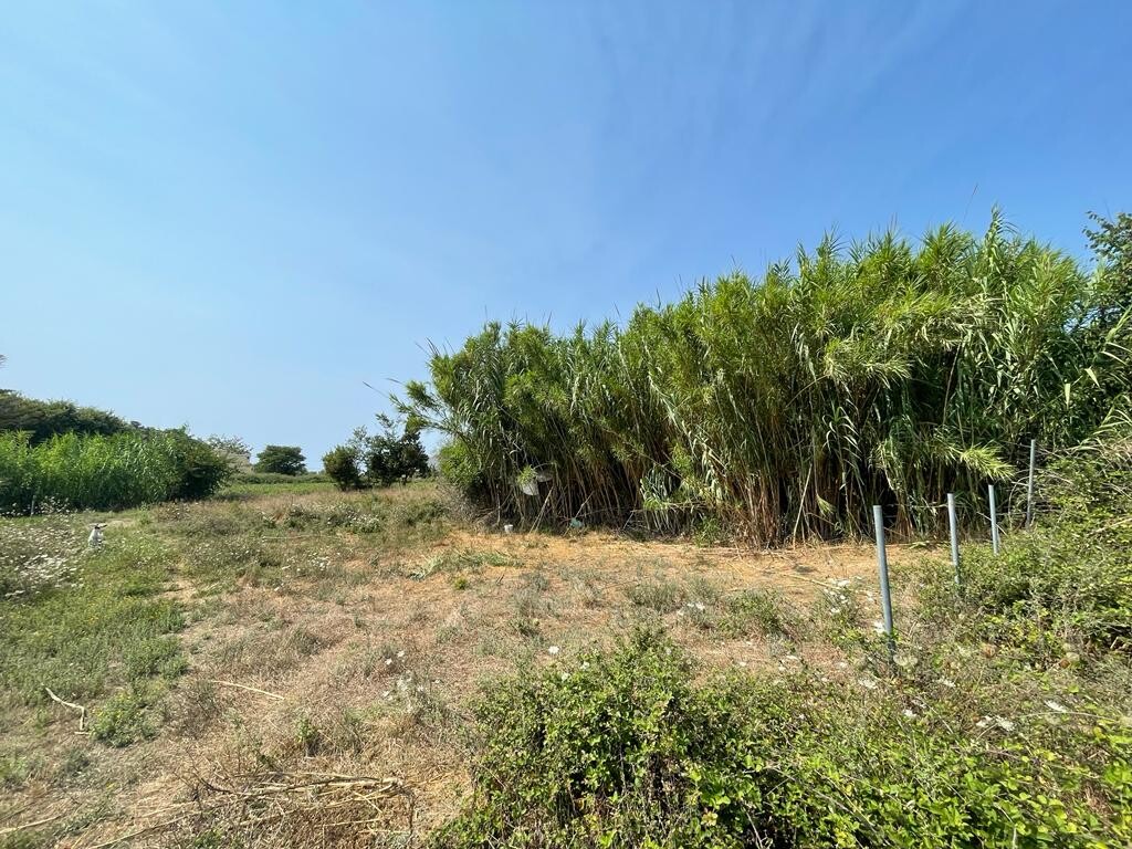 Land in Corfu, Corfu Prefecture, Greece – 50939