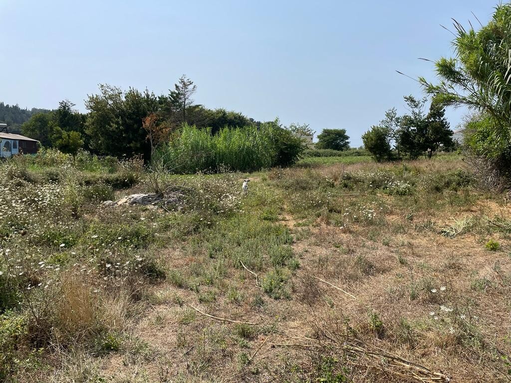 Land in Corfu, Corfu Prefecture, Greece – 50939