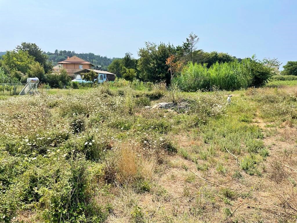 Land in Corfu, Corfu Prefecture, Greece – 50939