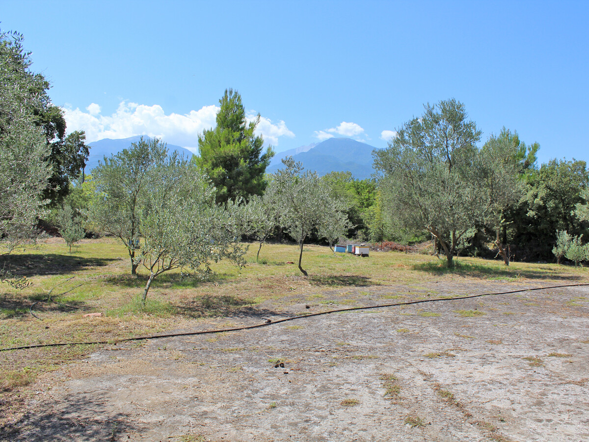 Land in Litochoro, Pieria Prefecture, Greece – 50929