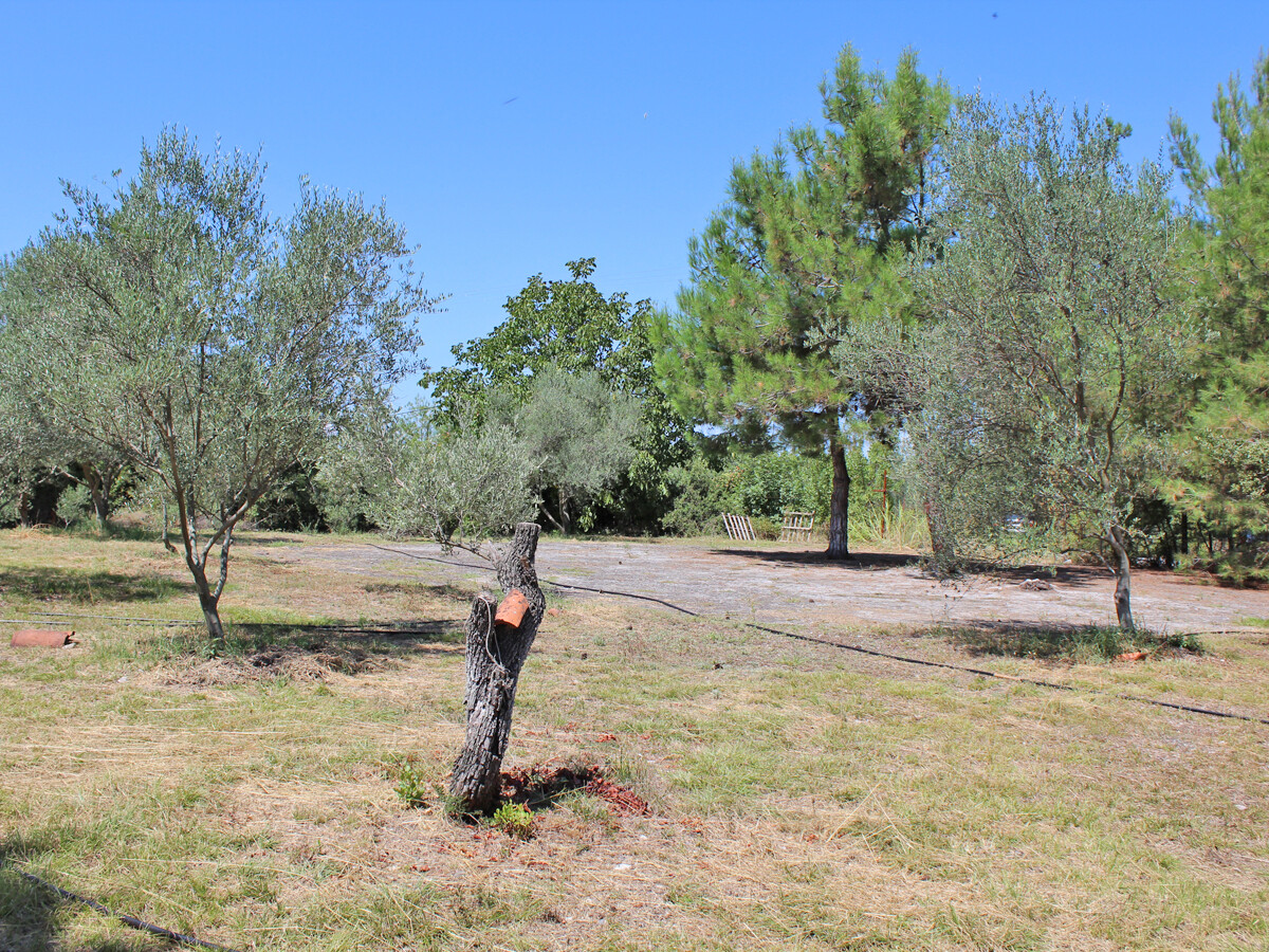 Land in Litochoro, Pieria Prefecture, Greece – 50929